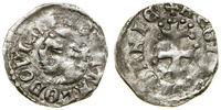 Polska, denar, (ok. 1358–1366)