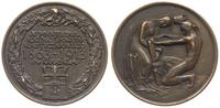 medal 1913, Kraków, 50 Rocznica Powstania Styczn