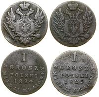 Polska, zestaw 2 x 1 grosz