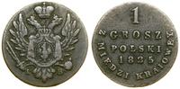 Polska, 1 grosz, 1825 IB