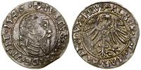 Prusy Książęce (1525–1657), grosz, 1546