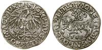 Polska, półgrosz, 1548