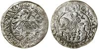 Polska, półgrosz, 1559