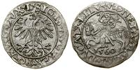Polska, półgrosz, 1560