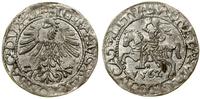 Polska, półgrosz, 1562