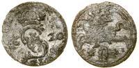 Polska, dwudenar, 1620