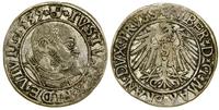 Prusy Książęce (1525–1657), grosz, 1539