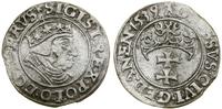 Polska, grosz, 1539
