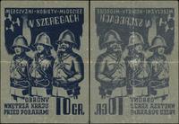 Polska, naklejka okienna - cegiełka