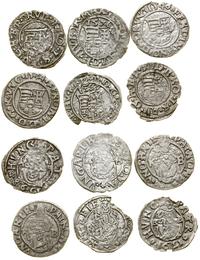 Węgry, zestaw 6 x denar, 1544 KB, 1546 KB, 1563 KB (Ferdynand I)