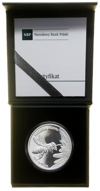 Polska, 20 złotych, 2015