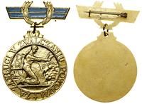 Polska, złota odznaka Za Zasługi w Zwalczaniu Powodzi, (1961–2001)