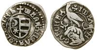 Hospodarstwo Wołoskie, dinar