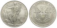 1 dolar 1996, Filadelfia, srebro, delikatna paty