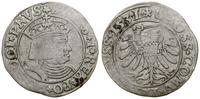 Polska, grosz, 1531