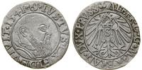 Prusy Książęce (1525–1657), grosz, 1541