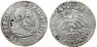 Śląsk, grosz, 1542