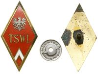 Polska, odznaka Technicznej Szkoły Wojsk Lotniczych, 1952–1965