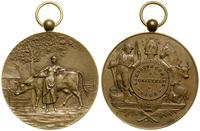 Belgia, odznaka towarzystwa rolniczego, 1908