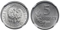 Polska, 5 groszy, 1962