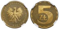 Polska, 5 złotych, 1986