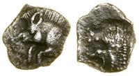 Grecja i posthellenistyczne, 1/4 obola, (V w. pne)