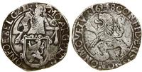 Niderlandy, talar lewkowy (Leeuwendaalder), 1648