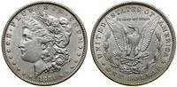 Stany Zjednoczone Ameryki (USA), 1 dolar, 1881