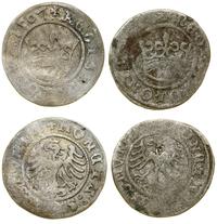 Polska, zestaw: 2 x półgrosz, 1507 i data nieczytelna