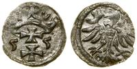 Polska, denar, 1555