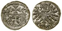 Polska, denar, 1557