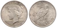 1 dolar 1924, Filadelfia, srebro "900"