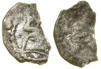 Polska, denar – zachowane ok. 50% monety