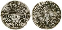 Polska, grosz, 1614