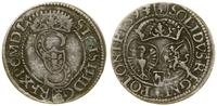 Polska, szeląg, 1593