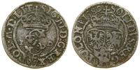 Polska, szeląg, 1589