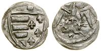 Polska, denar koronny, (1370–1382)