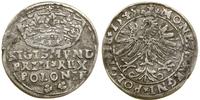 Polska, grosz, 1545