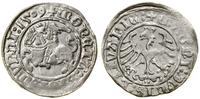 Polska, półgrosz, 1509