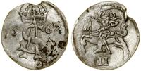 Polska, dwudenar, 1567