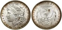 Stany Zjednoczone Ameryki (USA), 1 dolar, 1904 O