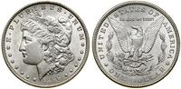 Stany Zjednoczone Ameryki (USA), 1 dolar, 1896