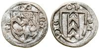 Śląsk, halerz miejski, koniec XV w