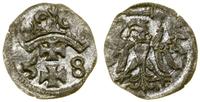 Polska, denar, 1558