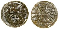 Polska, denar, 1555
