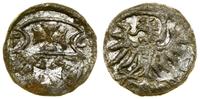 Polska, denar, 1556