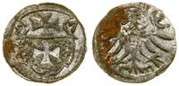 Polska, denar, 1557