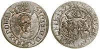 Polska, szeląg, 1594