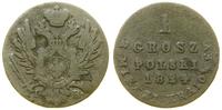 Polska, 1 grosz polski z miedzi krajowej, 1824 IB