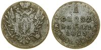 Polska, grosz z miedzi krajowej, 1823 IB